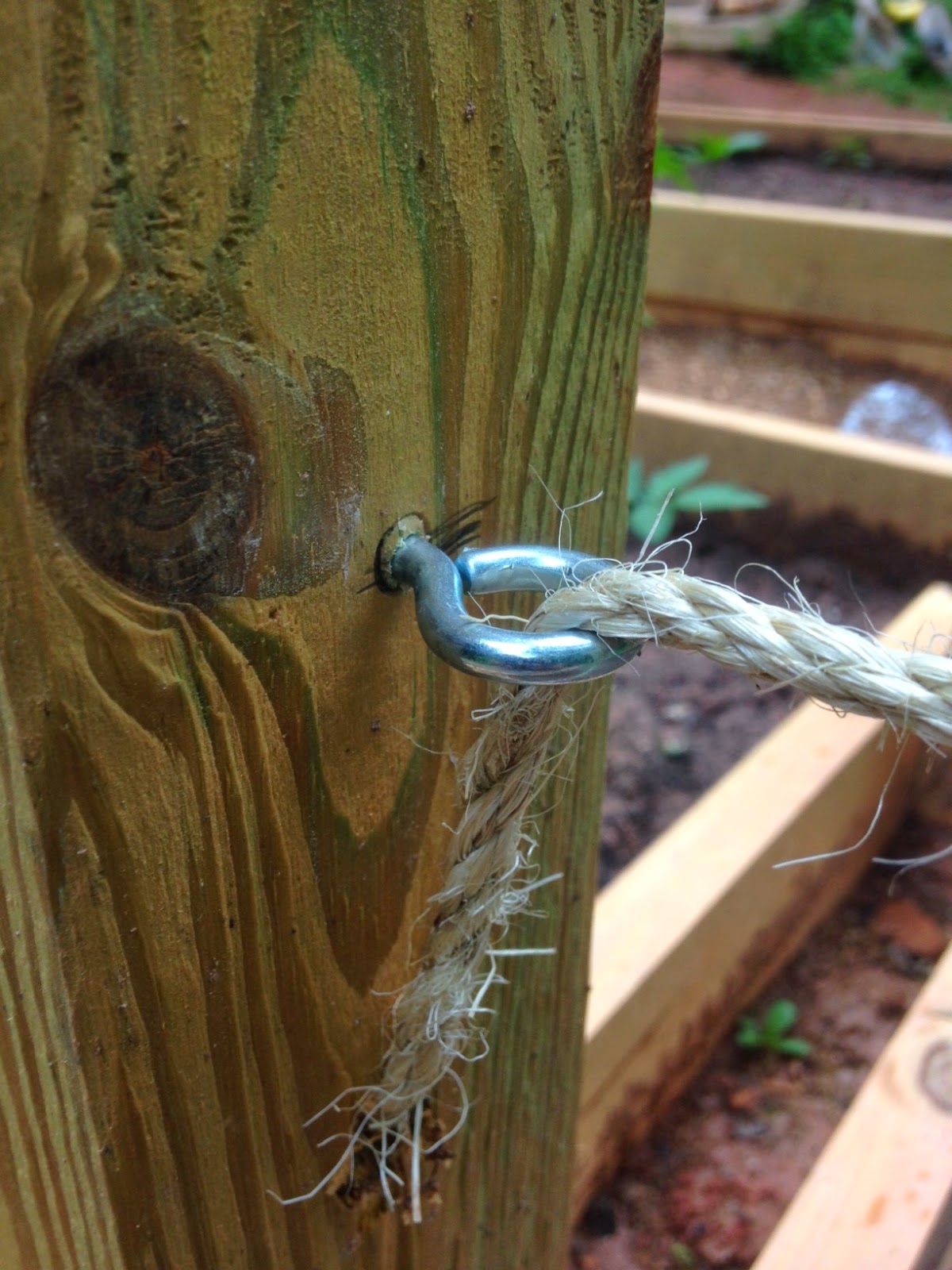 Florida Weave: A Better Way to Trellis Tomatoes – Garden Betty