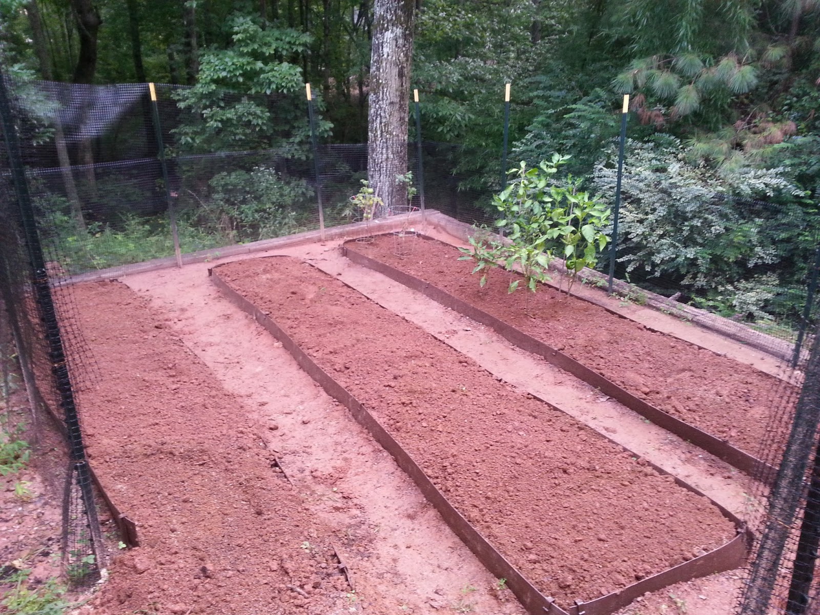 improving Georgia clay for gardening