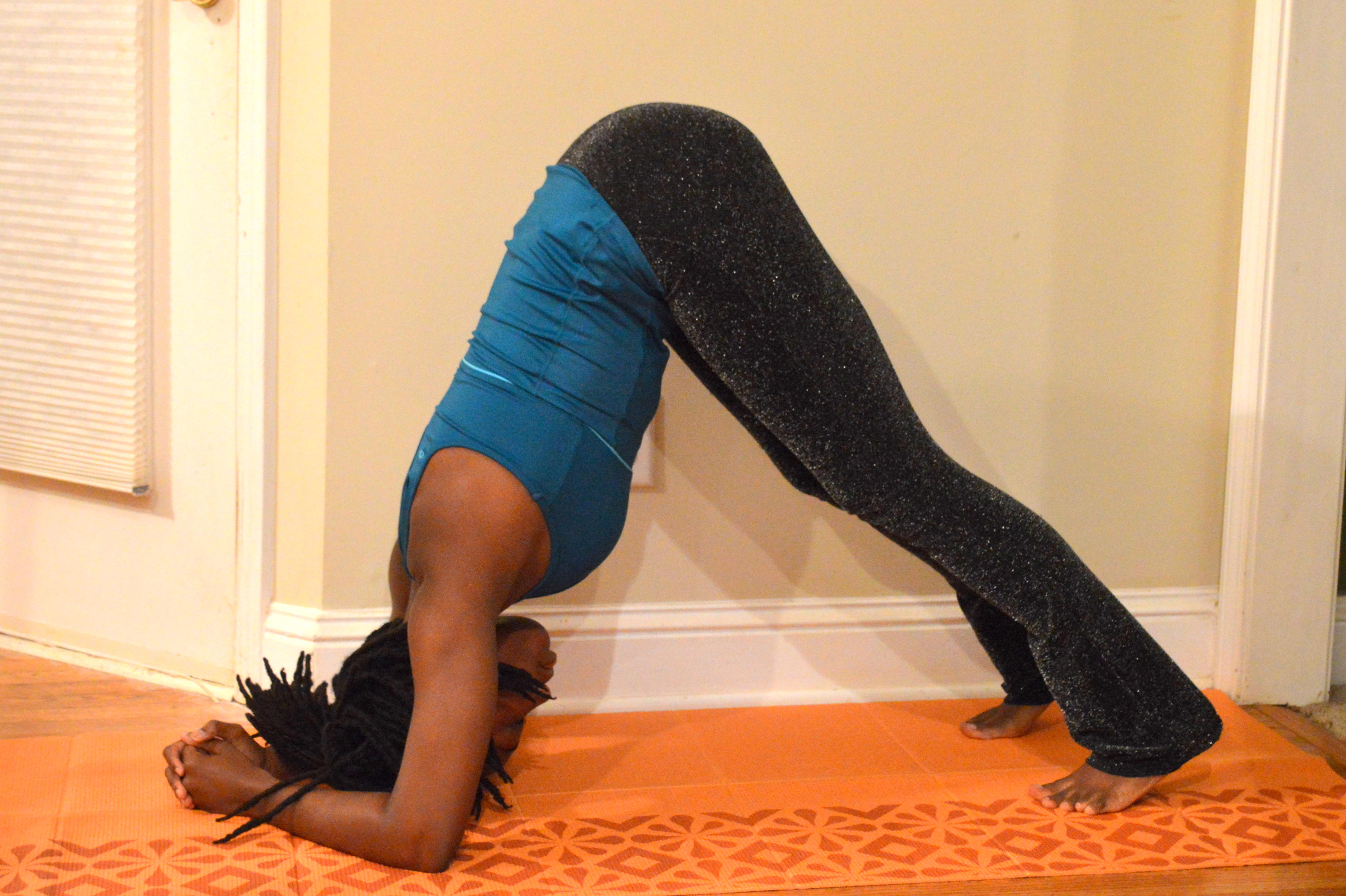 dolphin pose forearm stand