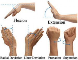 exercises for weak wrists