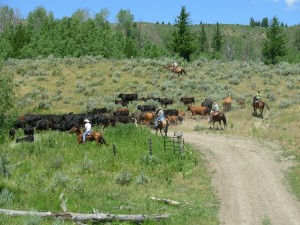 sustainable food sources idaho