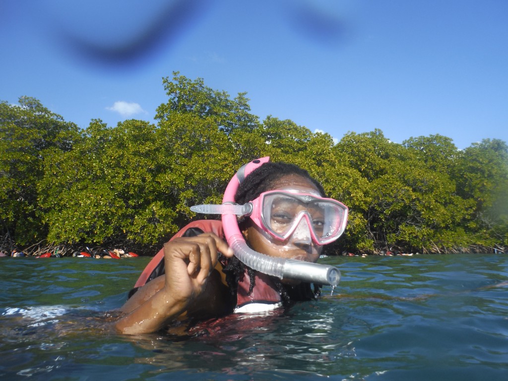 snorkeling virgin islands