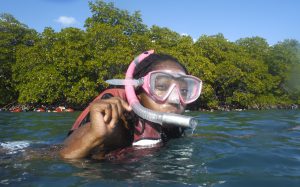 snorkeling virgin islands