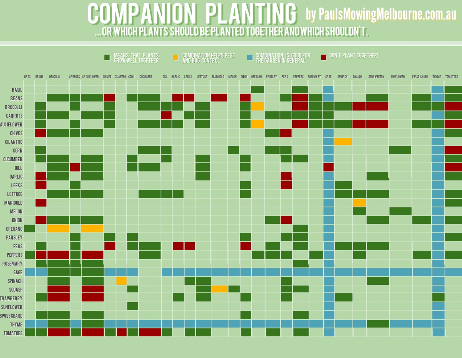 Arugula Companion Planting Chart