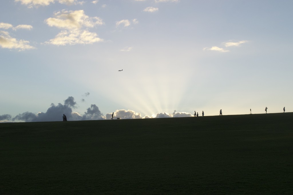 families enjoying sunset at park