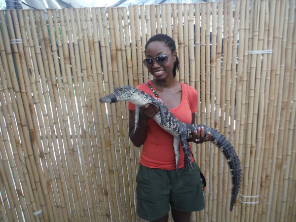 Everglades airboat tour