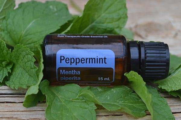 benefits of peppermint essential oil