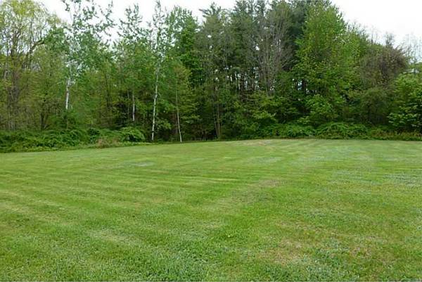 flat backyard