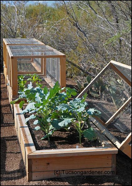 raised garden bed covers