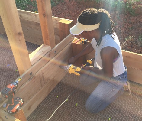 DIY Raised Garden Beds and Selecting Good Soil