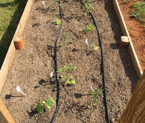 How to Install a Soaker Hose Irrigation System