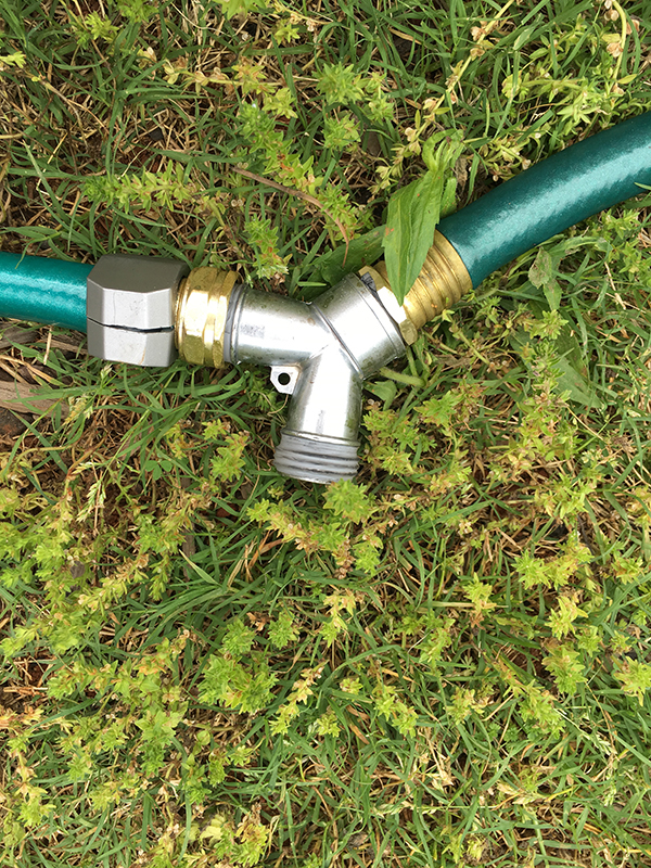 y connector on garden hose