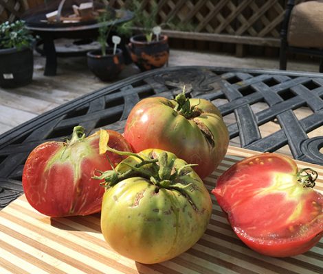 Eat Ugly: Imperfect Produce Can End National Hunger