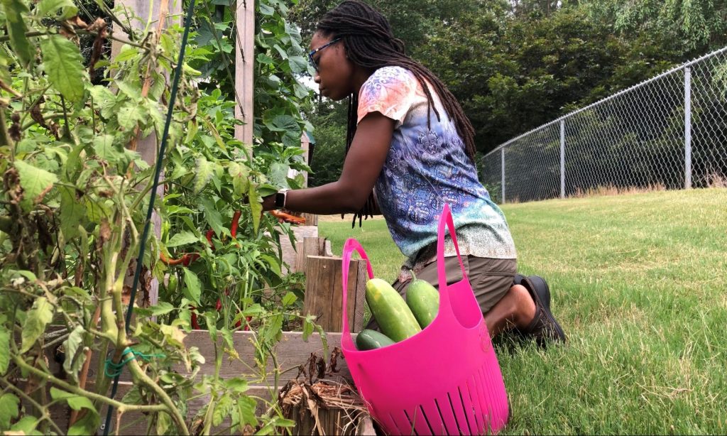 vegetable gardening in north georgia with erica rascon